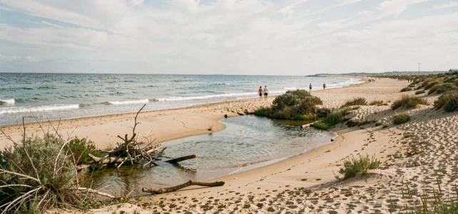 Découvrez la plage du Bocal du Tech : naturisme et authenticité au rendez-vous Découvrez la plage du Bocal du Tech : naturisme et authenticité au rendez-vous