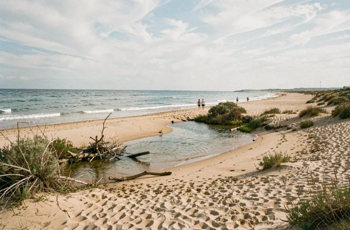 Vue panoramique de la plage naturiste du Bocal du Tech avec l'embouchure du fleuve rejoignant la mer Méditerranée dans un cadre naturel et sauvage
