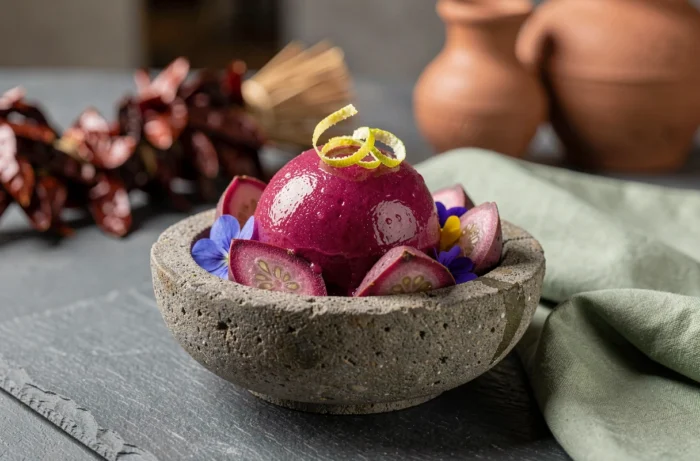 Sorbet xoconostle au cactus servi dans un bol en pierre avec zeste de citron vert et fleurs comestibles